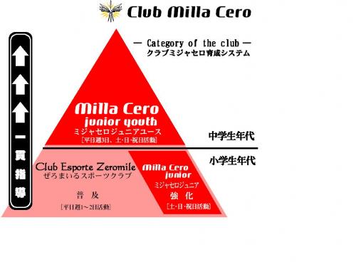育成ピラミッド