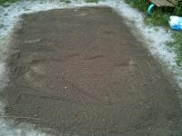 土壌整備後に肥料をまいた